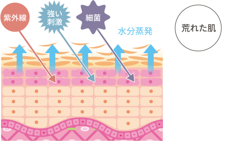 荒れた肌